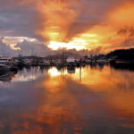 life 150x150 What To Expect