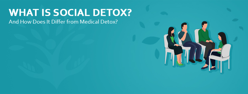 what is the social detox model